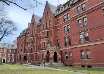 20% des inscrits au MOOC de Harvard vont jusqu'au bout